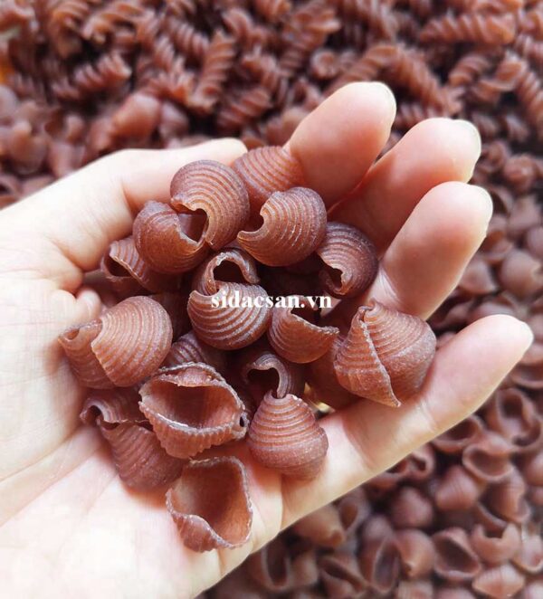 Nui Sò Gạo Lứt Sa Đéc - Ảnh 2
