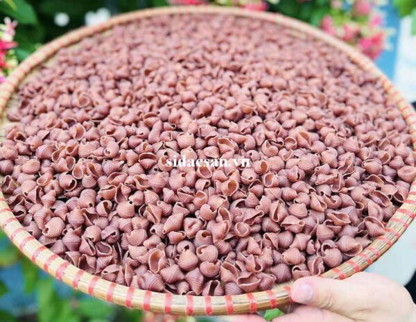 Nui Sò Gạo Lứt Sa Đéc - Ảnh 9
