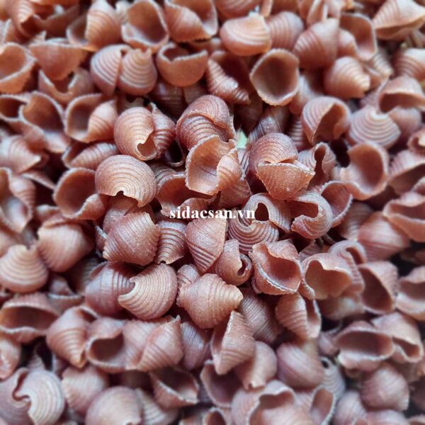 Nui Sò Gạo Lứt Sa Đéc - Ảnh 3